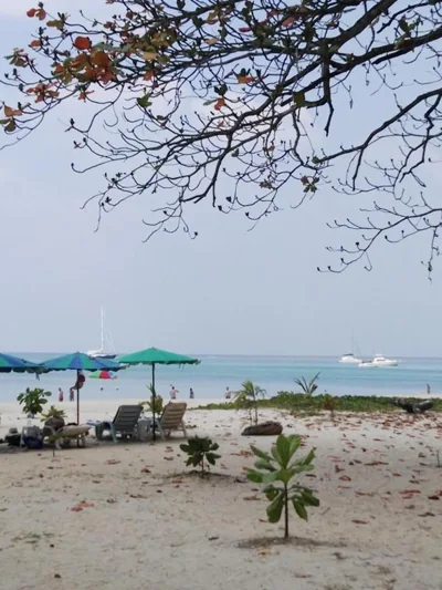 The Apartment at The Title Residencies Naiyang Beach – Fotos 10